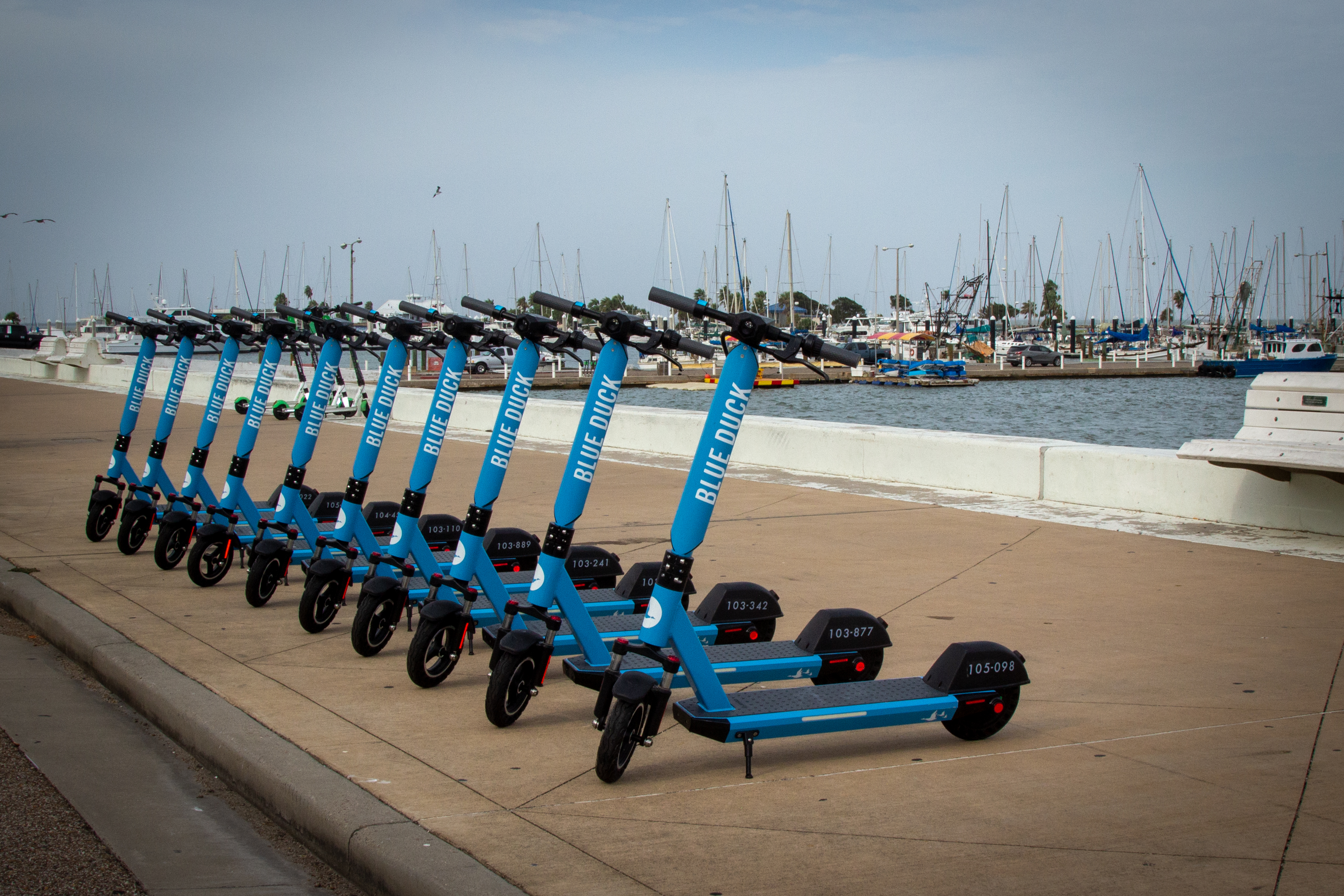 Blue Duck is also a micromobility provider in North Carolina, Mississippi and Texas (Credit: Hugh Donagher)