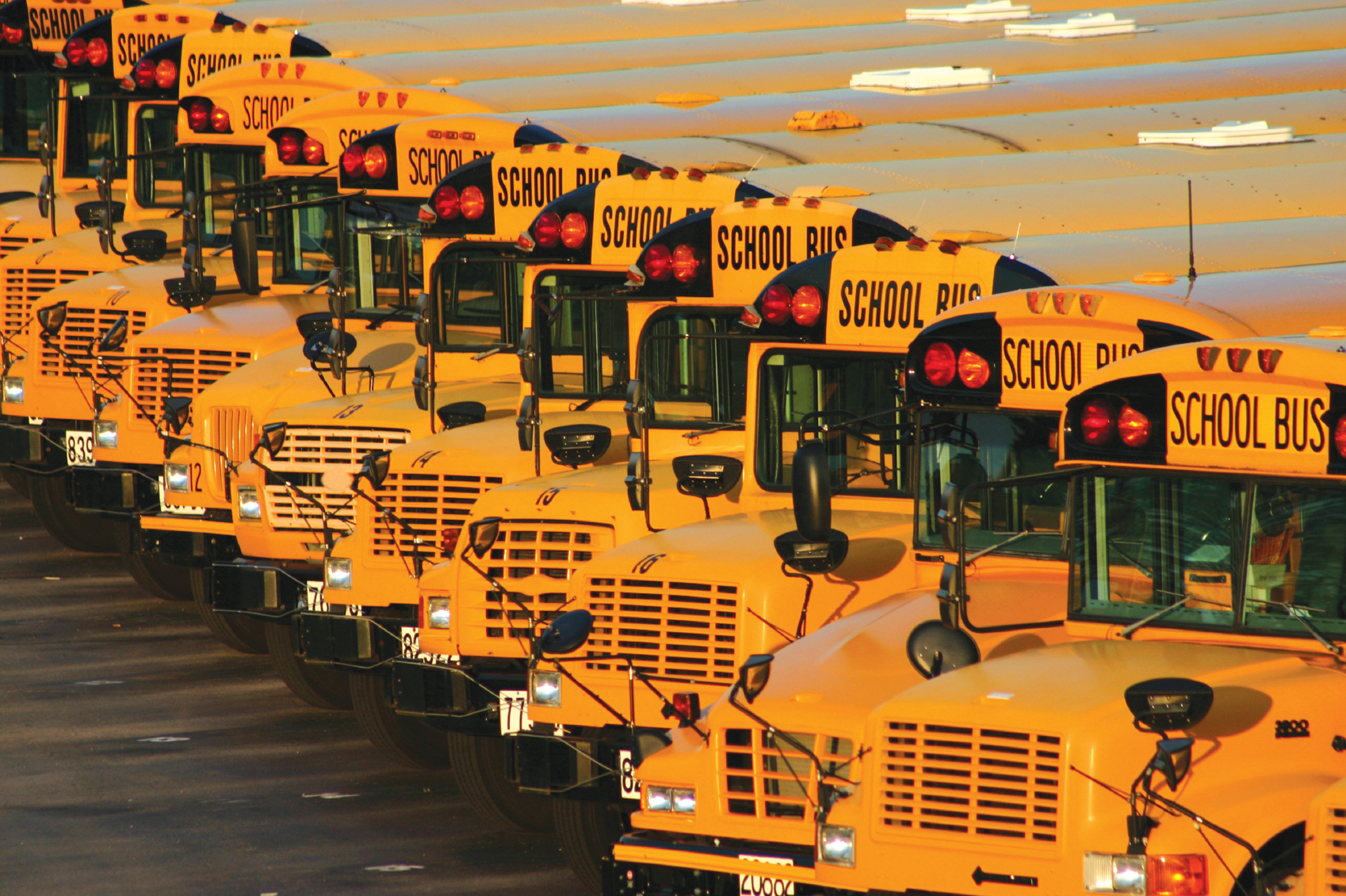 School Busses