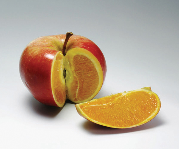 Apple / Orange 