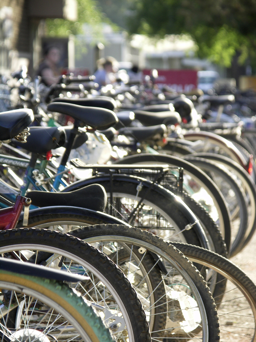 40% of UC Davis students commute by bike © Timothy Boomer | Dreamstime.com