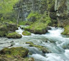 Ozarks can lead visitors astray