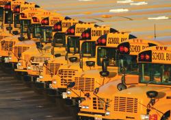 School Busses