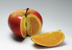 Apple / Orange 
