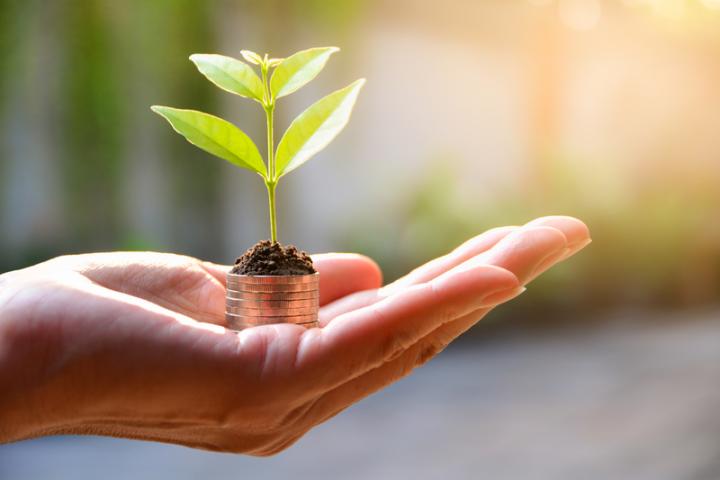 Venture capital investment start-ups growth money © Krisana Antharith | Dreamstime.com